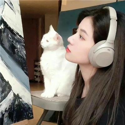 拳风恋影