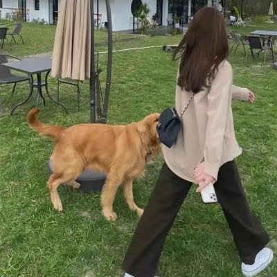 师姐出马粤语